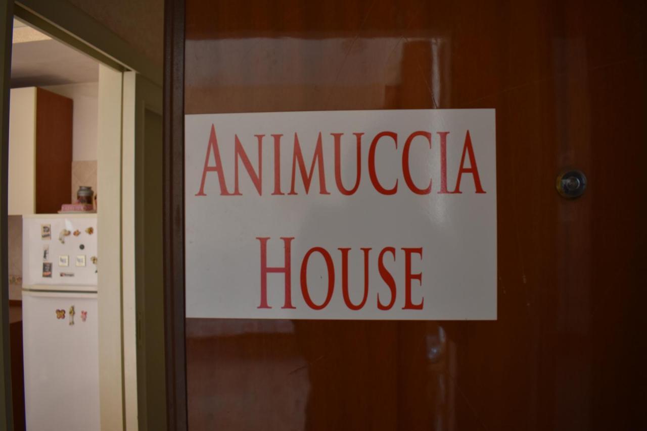 Casa Vacanze "Animuccia House" Roma المظهر الخارجي الصورة
